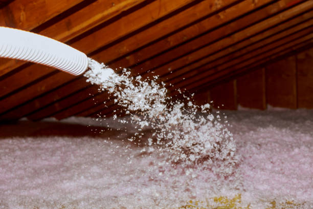 Best Spray Foam Insulation in Tama, IA