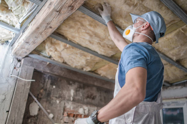 Best Eco-Friendly Insulation in Tama, IA